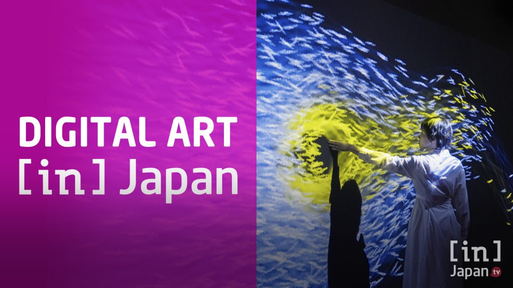 Teamlab Borderless Returns To Tokyo - In Japan Tv